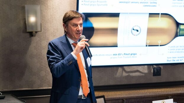 Usa, il successo del Pinot Grigio ai tempi del lockdown diventa un caso di studio internazionale