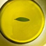 FrantoiOlive di Frantoio Bonamini: alla scoperta dell’olio novello