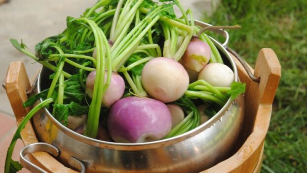 Dalle montagne del Friuli-Venezia Giulia quattro nuovi Presìdi Slow Food