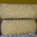 Dalla Sardegna tre formaggi di pecora diventano Presìdi Slow Food