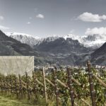 Cantina Bolzano, il vino che nasce ai piedi dei pendii innevati