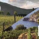 Consorzi Tutela vini COLLI EUGANEI e MAREMMA TOSCANA: esempi da imitare subito