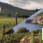 Consorzi Tutela vini COLLI EUGANEI e MAREMMA TOSCANA: esempi da imitare subito