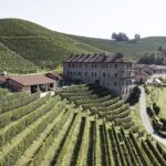 I vigneti di Casa E. di Mirafiore protagonisti del romanzo antropologico "La Vigna Magica" di Piercarlo Grimaldi