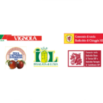 L’Europa firma i prodotti dei suoi territori: Radicchio di Treviso IGP, il fiore d’inverno