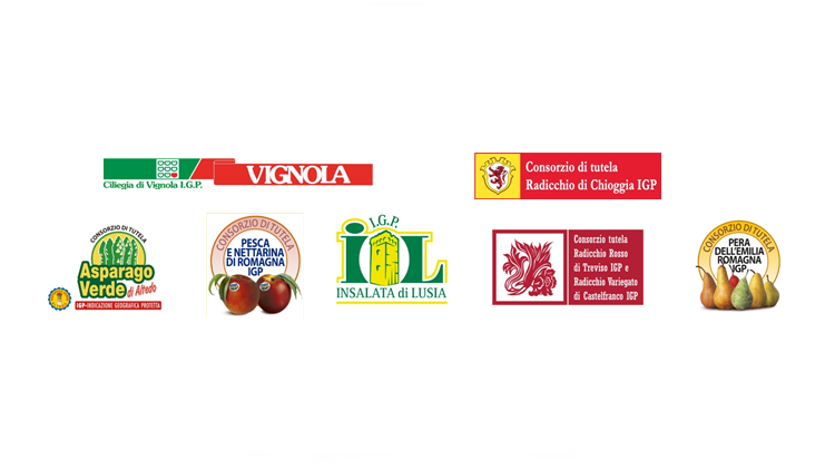 L’Europa firma i prodotti dei suoi territori: Radicchio di Treviso IGP, il fiore d’inverno