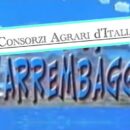 Consorzi Agrari alla riscossa o all’arrembaggio?