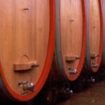 Vino Italia - Giacenze in cantina al 31.12.2020 by Giampietro Comolli