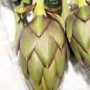 Sardegna: Carciofi e Olio insieme, unica confezione