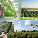 Alessio Mammi, assessore agricoltura Emilia Romagna: Le Regioni punto cardine e riferimento della Pac dell’Europa