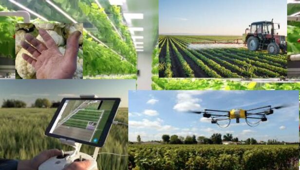 Alessio Mammi, assessore agricoltura Emilia Romagna: Le Regioni punto cardine e riferimento della Pac dell’Europa