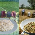 Pasta o riso? A voi la scelta!