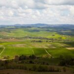 Torna l'oro di Cerbaiona, Pellegrini S.p.A. presenta l'annata 2016 del Brunello di Montalcino