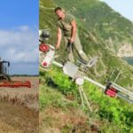 Agricoltura italiana a due facce: una competitiva innovativa 4.0 e l'altra destinata a sparire, senza una sua PAC
