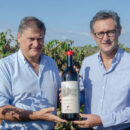 Giuseppe Pizzolante Leuzzi, enologo Cantina Cupertinum