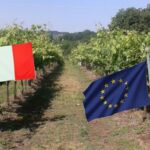 PAC E RESILIENZA CLIMATICA AMBIENTALE GEOAMPELOGRAFICA - Nuovi impianti viticoli e cambio climatico,