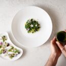 Enrico Crippa e le piante dimenticate: Ficoide e Branzino, il viaggio di marzo