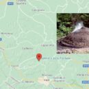 IL SENTIERO DELLE CARBONAIE TREKKING NATURALISTICO IN OLTREPO’ PAVESE CON MERENDA FINALE A BASE DI PRODOTTI LOCALI