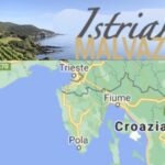 Malvasia Istriana, una Malvasia diversa, autentica che si racconta, che arriva direttamente a casa