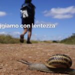 Nutrizione da escursionisti -La pandemia insegna la nuova vacanza a movimento lento...