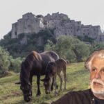 Lo zenzifero di Quaglietta protagonista al Festival “Irpinia Madre Contemporanea”