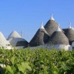 La rivoluzione digitale con Pugliawineworld – Presentazione del progetto 29 giugno 2021