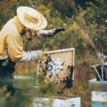 Alfonsino adotta 60mila api per contribuire alla salvaguardia della specie e preservare la biodiversità