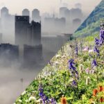 AGRICOLTURA SOSTENIBILE CIRCOLARE ... AGRICOLTURA NON E' LA MADRE DI TUTTI GLI INQUINAMENTI