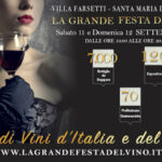 La Grande Festa del Vino 14° Edizione - Santa Maria di Sala, Venezia, 11 - 12 Settembre 2021