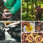 Alta Val Taro, un autunno nel segno del sottobosco tra porcini, castagne e tartufi