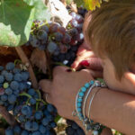 Cupertinum, la vendemmia in Salento, è una gioia anche per i bambini ciechi