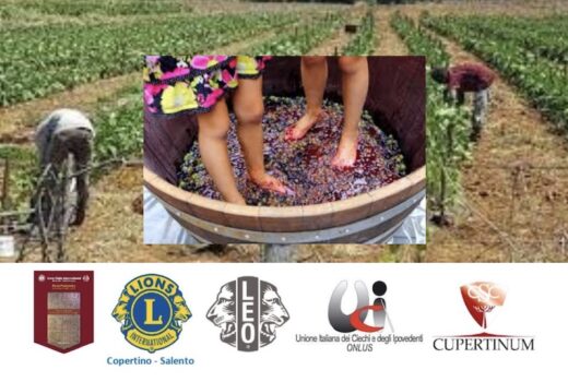 Vendemmia e “capucanale” con i bambini” – Cupertinum Antica Cantina del Salento 1935