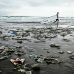 Mark it è la prima azienda Carbon Neutral in ambito marketing e comunicazione in Italia