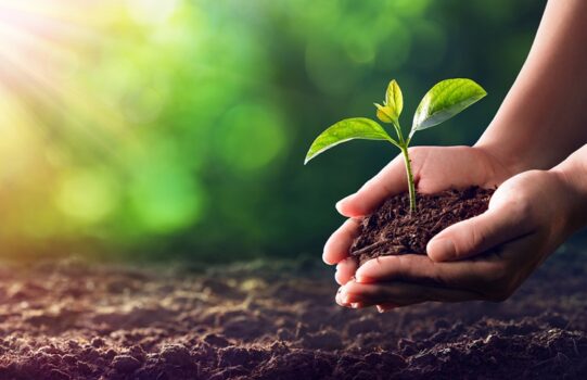 G20 Agricoltura, Castagnedi (Tenuta Sant’Antonio): Sostenibilità e cambiamento climatico sfide esistenziali per il futuro, investire e fare squadra per superarle