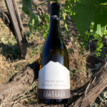 Alla scoperta del versante sud-ovest dell’Etna con il nuovo vino di Palmento Costanzo