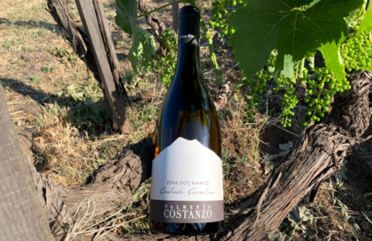 Alla scoperta del versante sud-ovest dell’Etna con il nuovo vino di Palmento Costanzo