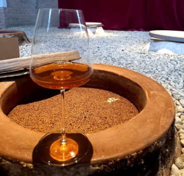 San Martino, il mosto diventa vino Domenica 14 Novembre 2021, Rivanazzano Terme (PV)