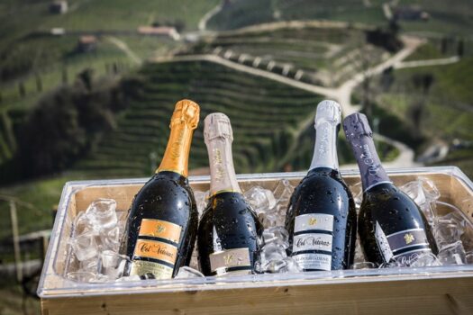 La vendemmia 2021 di Col Vetoraz: vince l’equilibrio