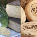 Axridda, alta collina in Sardegna e Toma Blu di Lanzo, alpeggio in Piemonte: due eccellenze...  eccezionali