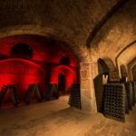 Cattedrali storiche Bosca e visite in cantina (Canelli)