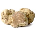 Codice sensoriale del tartufo