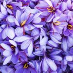 Autunno in Sardegna: un territorio tutto da scoprire