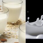 CALA DEL 2% IL CONSUMO DI LATTE VACCINO, MENTRE QUELLO VEGETALE AUMENTA DELL’8%, MA È VERO LATTE?