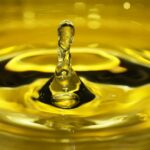 61° sagra dell'olio a Canino, che la festa abbia inizio, finalmente!