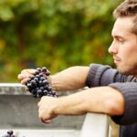 Cantina Gaggiano, strappare all’incuria il terreno per riportare in vita la tradizione