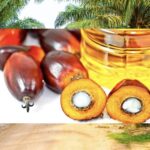 L'olio di palma potrebbe ‘’causare il 90% dei casi di cancro’’ ?  - Allarme infondato secondo EUFIC