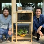 Miele in favo fatto in casa, tre ricette dolci e salate sfiziose e a km zero