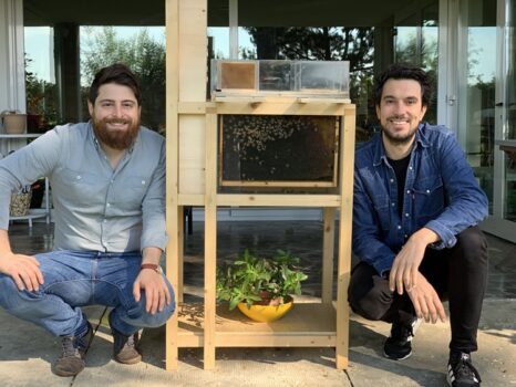 Miele in favo fatto in casa, tre ricette dolci e salate sfiziose e a km zero