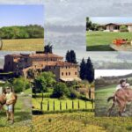 Agriturismo: tra relax e buon cibo