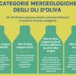 Olio di oliva, è vero che fa vivere più a lungo? ... è l’elisir di una vita più longeva?